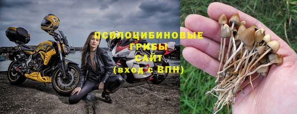 ПСИЛОЦИБИНОВЫЕ ГРИБЫ Алзамай