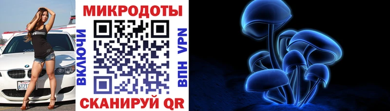 Псилоцибиновые грибы Psilocybe Собинка